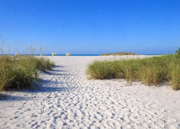 Sea Club #43 - The Shore Thing Clearwater Beach